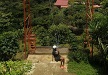 big swing